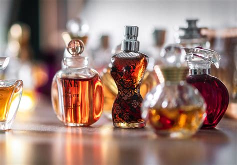 perfumes y sus clones|perfumes famosos dupes.